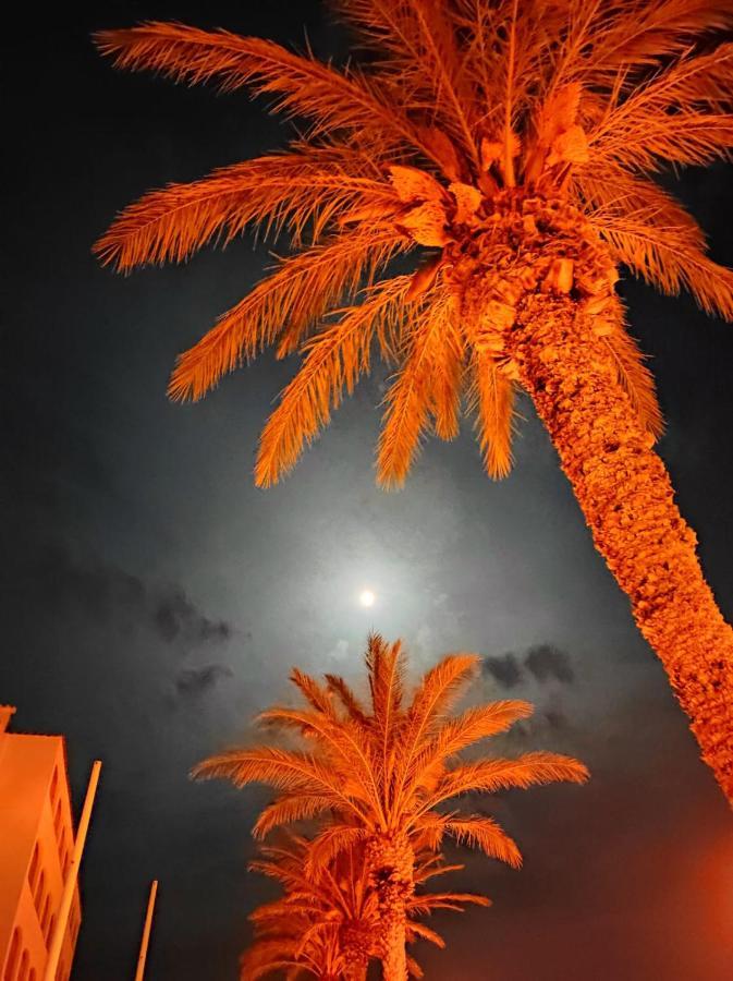 Mar Y Montana - L'Hospitalet De L'Infant Daire Dış mekan fotoğraf